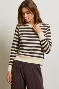 mocha stripe